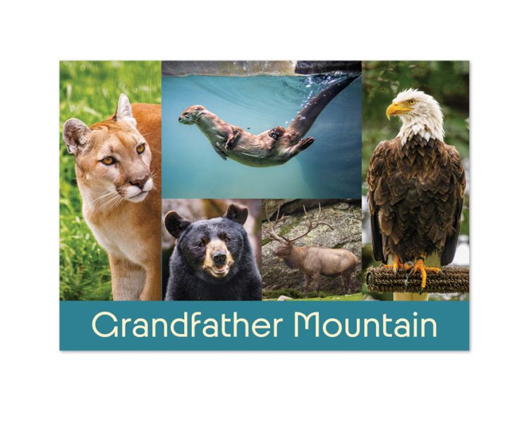 Grandfather Mountain