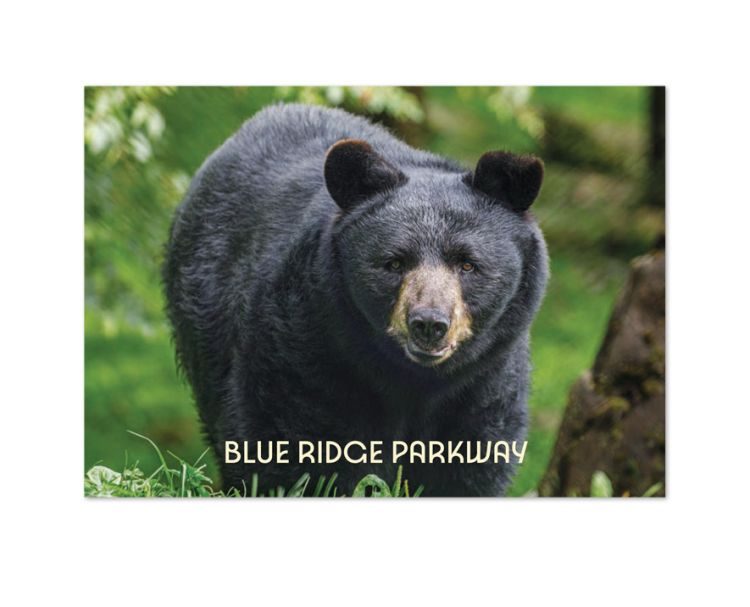 Blue Ridge Parkway