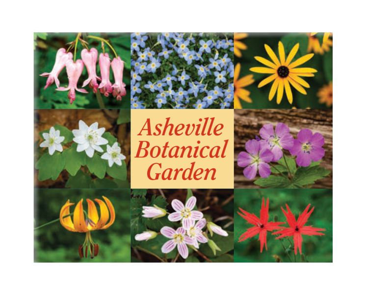 Asheville Botanical Garden