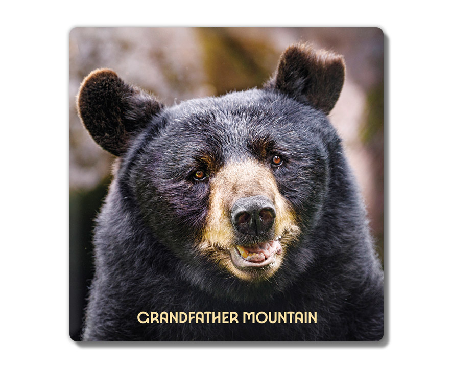 J. Scott Graham: Grandfather Mountain