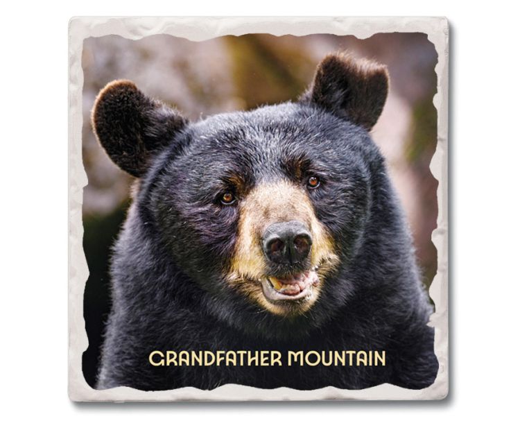 Grandfather Mountain