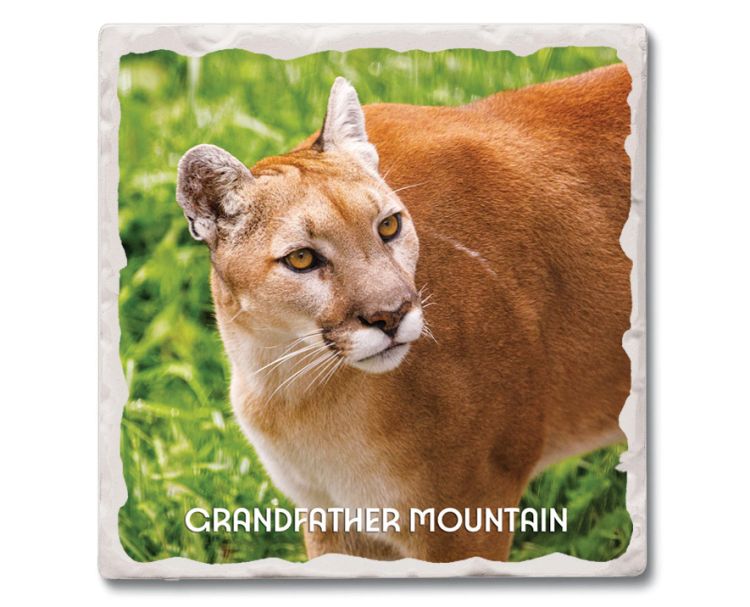 Grandfather Mountain