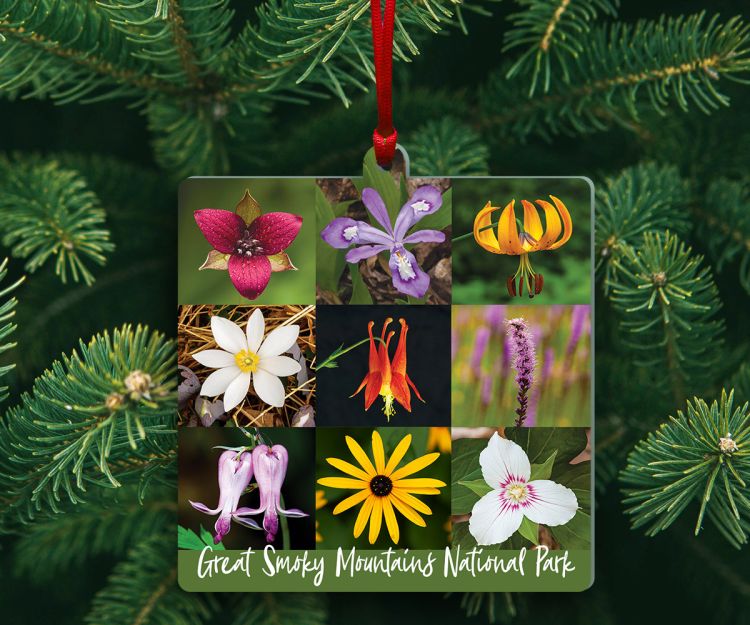 Great Smoky Mountains