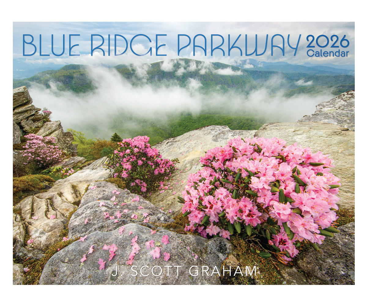 HP728純正インク 計6個　期限2026/JUN〜2026/AUG HP728純正インク 計5個 取付期限2026/NOV〜2027/FEB HP728純正インク