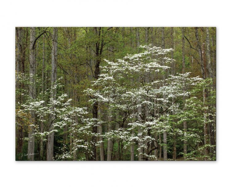 "Fingerprints of God"