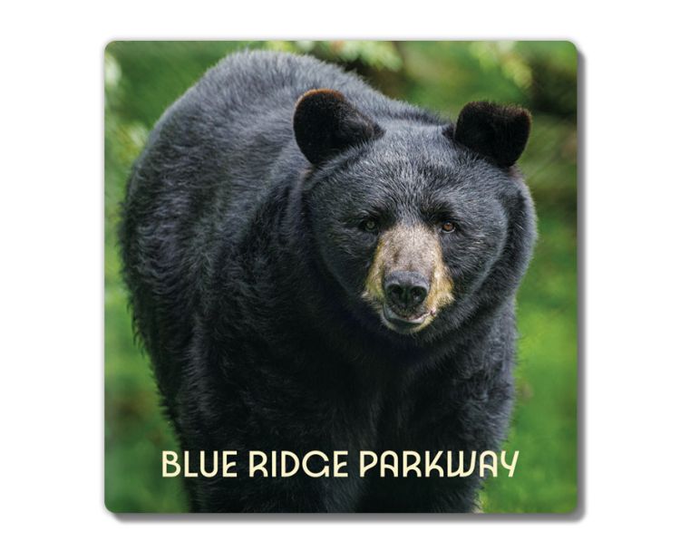 Blue Ridge Parkway