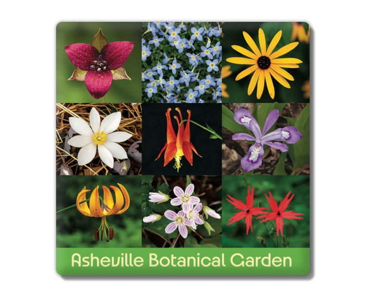 Asheville Botanical Garden