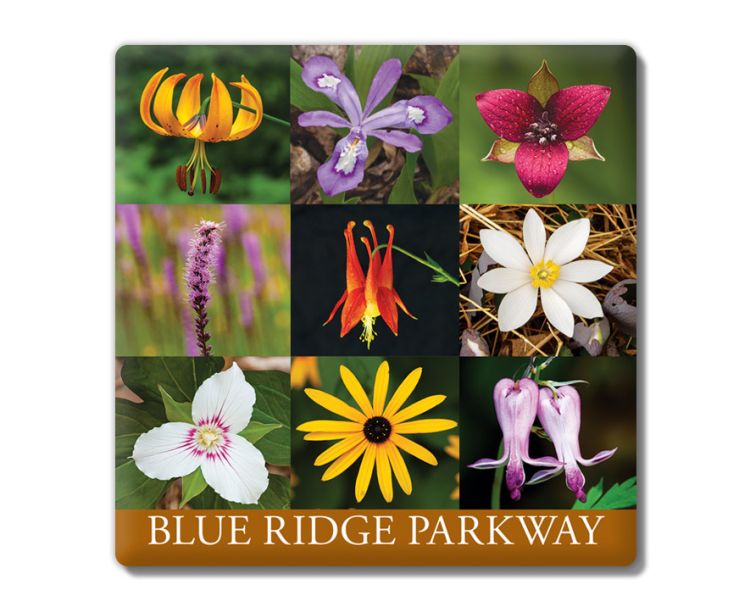 Blue Ridge Parkway