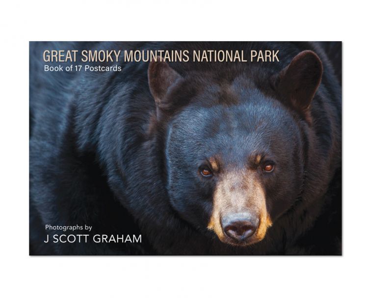 Great Smoky Mountains - Book of 17 Postcards