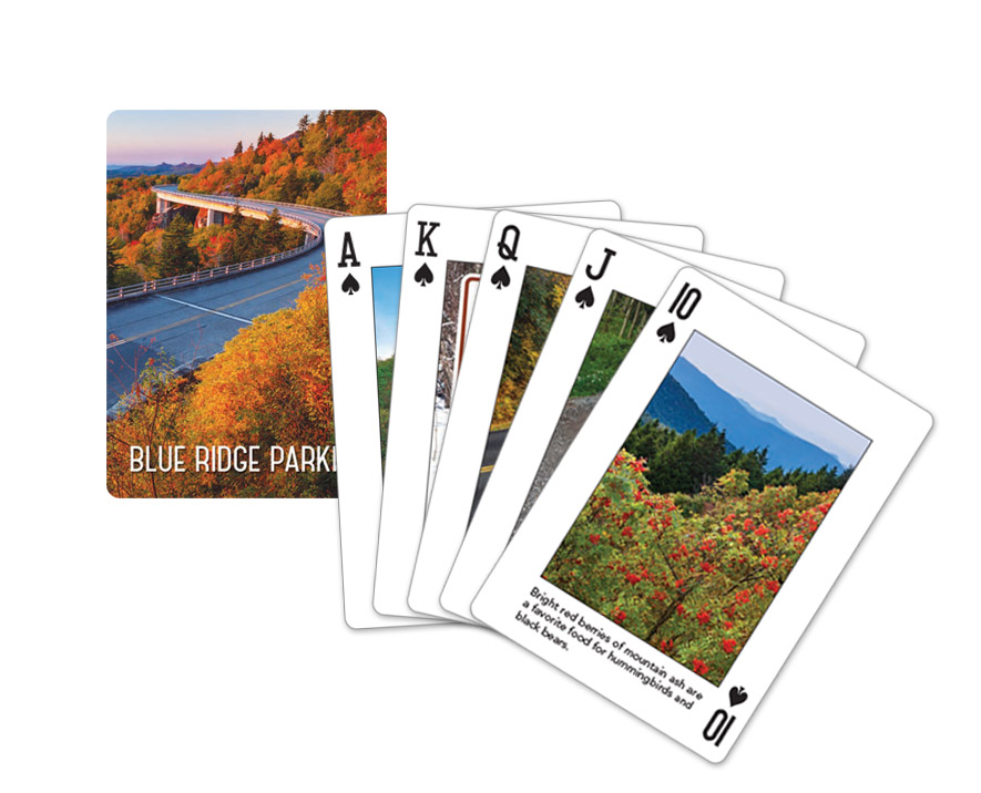 美品red card Blues25 418GiAkG+pL.jpg_BO30,255,255,