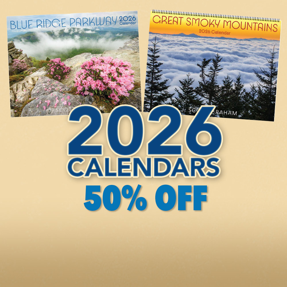 2026 Calendar Sale