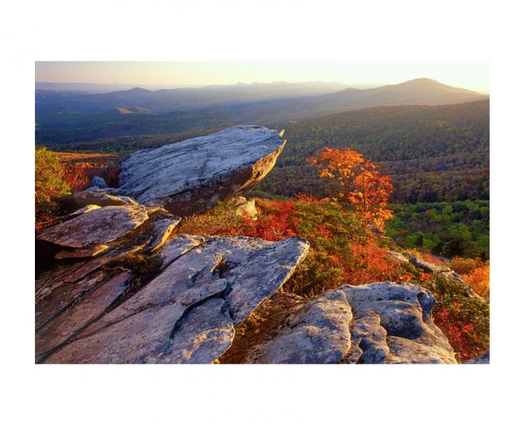 J. Scott Graham Canvas Prints