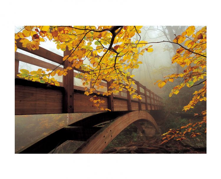 "Accompanied by Autumn"