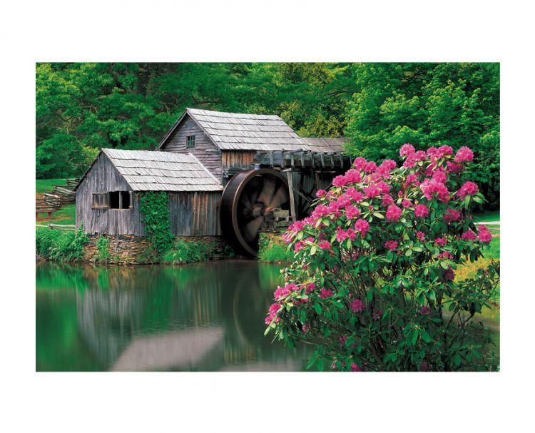 "Echoes of the Past"