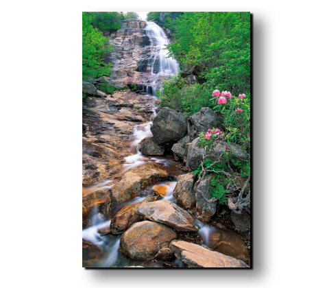 Canvas Prints